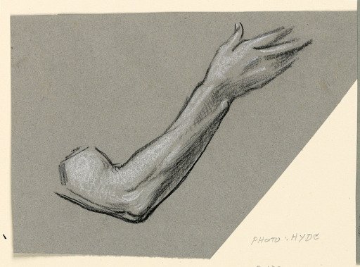 Study of arm
