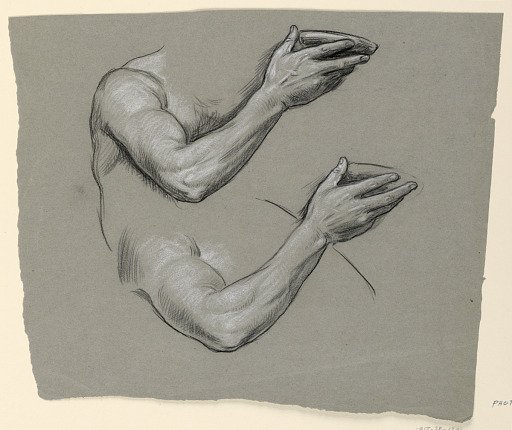Study of arm