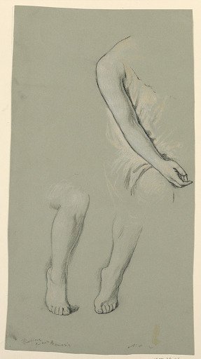 Study of a model