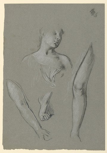 details of figure studies