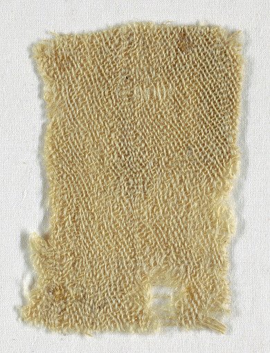 Fragment