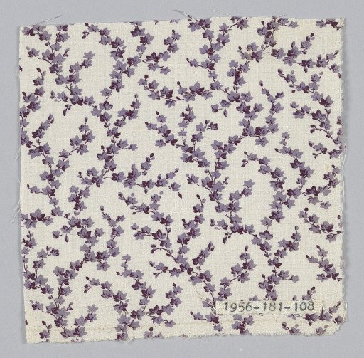 Fragment