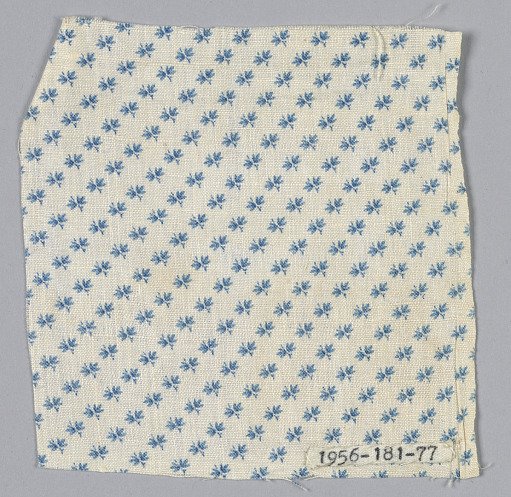Fragment