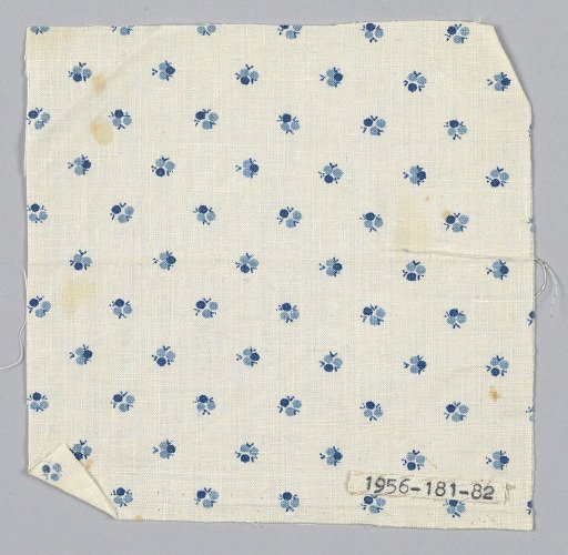 Fragment