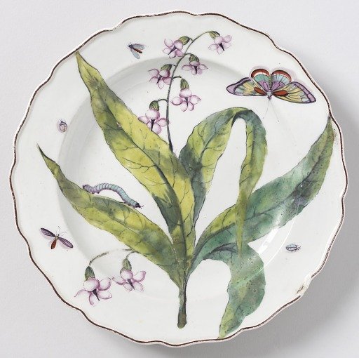 "Hans Sloane" Botanical Plate (One of Twelve)