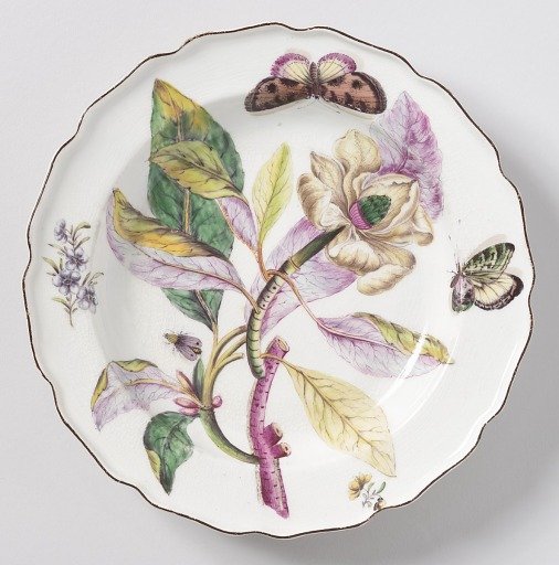 "Hans Sloane" Botanical Plate (One of Twelve)