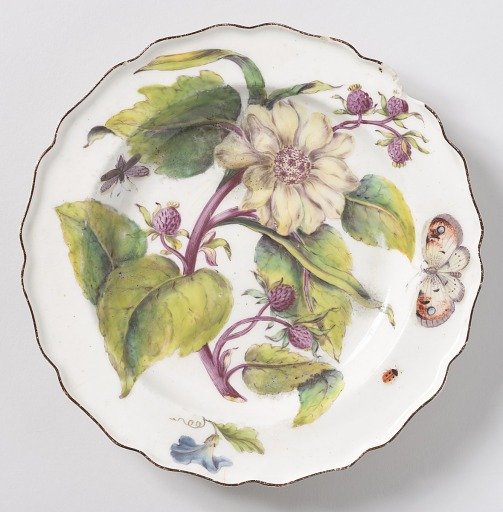 "Hans Sloane" Botanical Plate (One of Twelve)