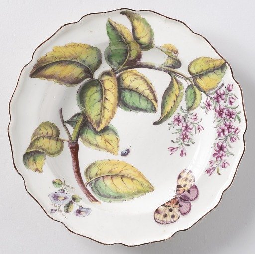 "Hans Sloane" Botanical Plate (One of Twelve)