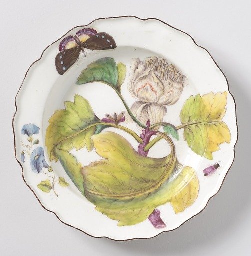 "Hans Sloane" Botanical Plate (One of Twelve)