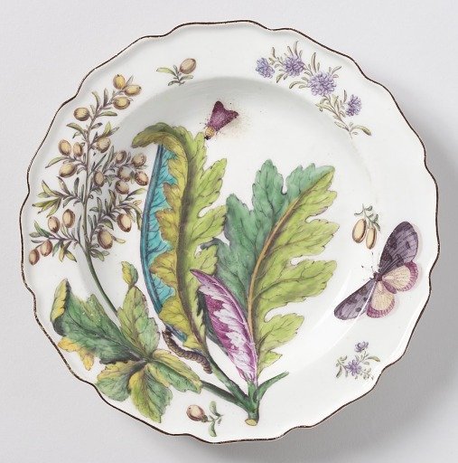 "Hans Sloane" Botanical Plate (One of Twelve)