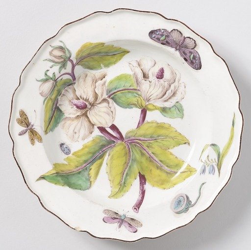 "Hans Sloane" Botanical Plate (One of Twelve)
