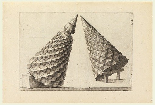 Perspectiva: Corporum Regularium