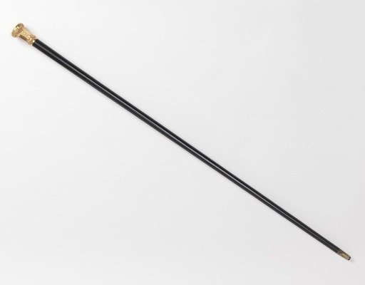 Walking stick