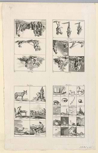 Vignettes for a Latin Grammar