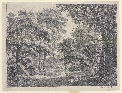 Woods With Fenced in Areas