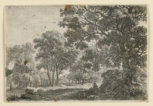 Man Resting on a Grassy Bank Under a Large Tree