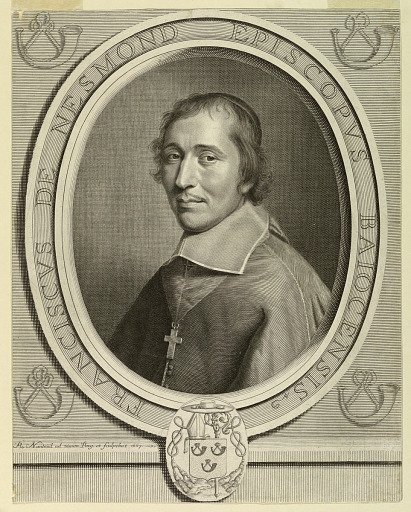 Portrait of Francois de Nesmond