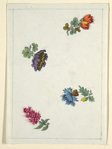 Floral design for printed textile