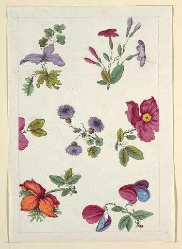 Floral design for printed textile
