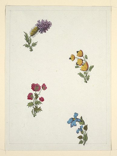 Drawing