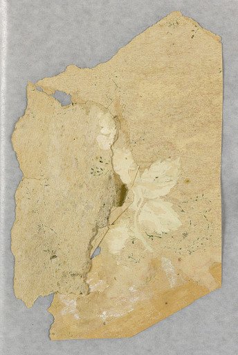 Sidewall - fragment
