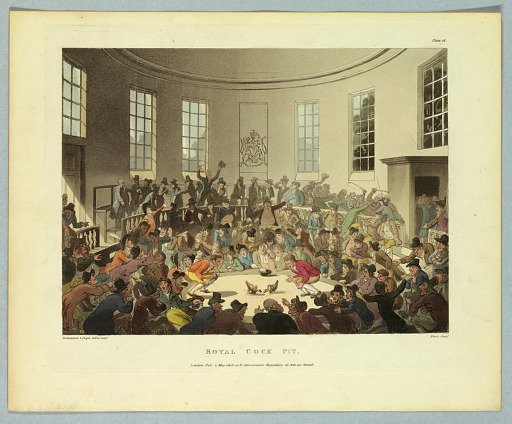 Royal Cock Pit, from "Ackermann's Repository"