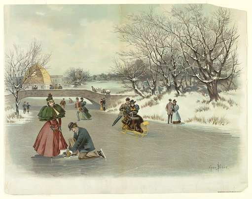 Winter's Enjoyment in Central Park