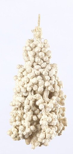 Tassel