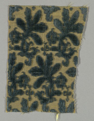 Fragment