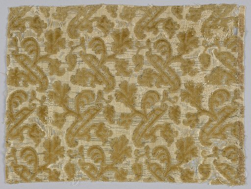Fragment