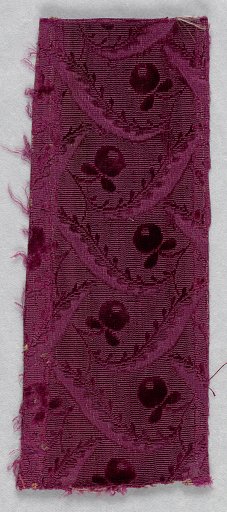 Fragment
