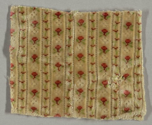 Fragment