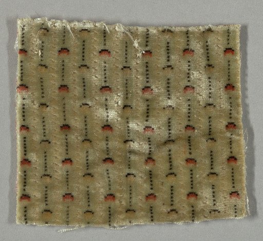 Fragment