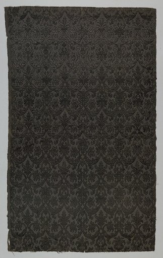 Fragment