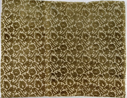 Fragment