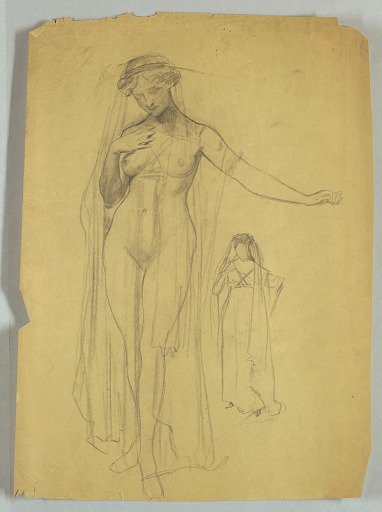 Study of Veiled Nude Figure