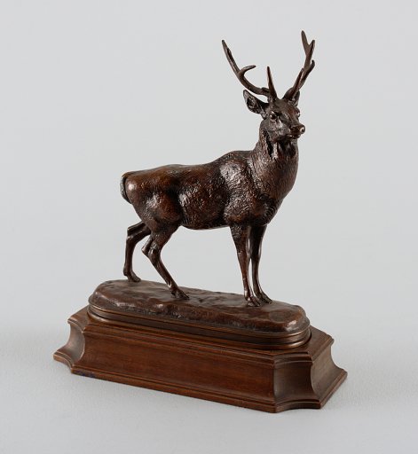 Stag
