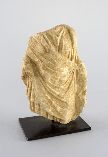 Torso