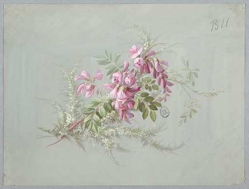Design for Wallpaper and Textile: Flowers and Birds