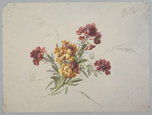 Design for Wallpaper and Textile: Flowers