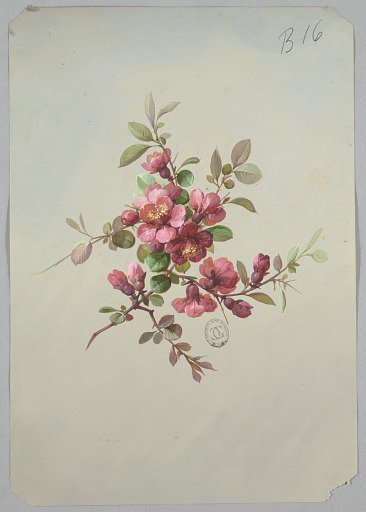 Design for Wallpaper and Textiles: Flowers
