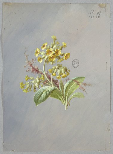 Design for Wallpaper and Textiles: Flowers