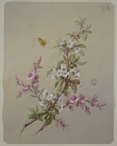 Design for Wallpaper and Textiles: Flowers and Birds