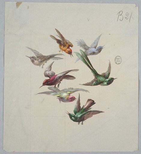 Design for Wallpaper and Textiles: Birds