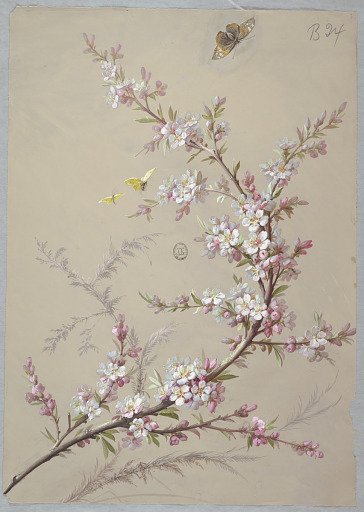 Design for Wallpaper and Textiles: Flowers and Butterflies