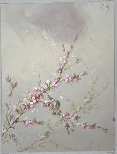Design for Wallpaper and Textiles: Flowers and Birds