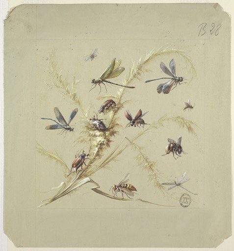 Textile or Wallpaper Design: Insects