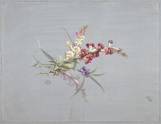 Design for Wallpaper and Textiles: Flowers