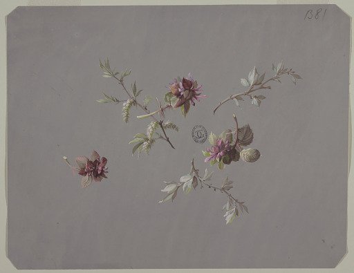 Design for Wallpaper and Textiles: Flowers