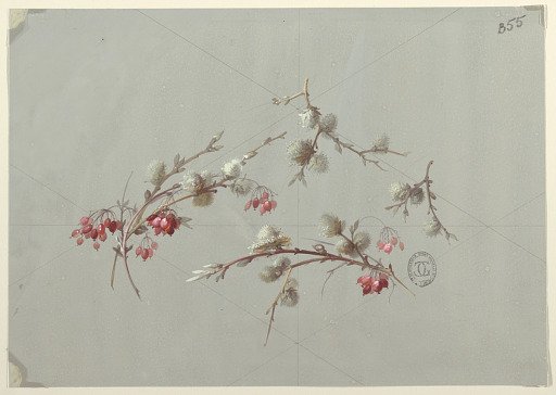 Designs for Wallpaper and Textiles: Flowers
